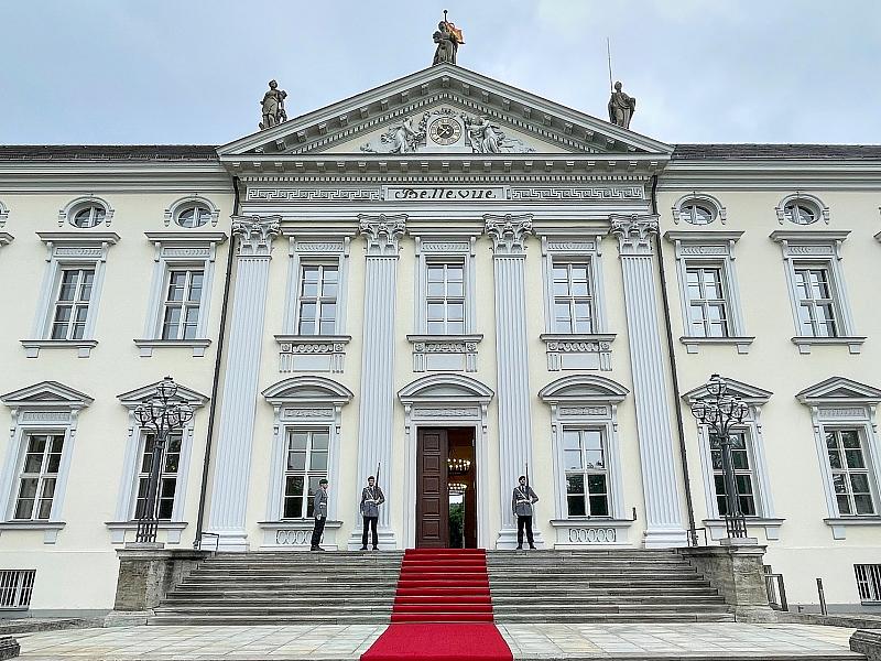 Frösche aus Bellevue-Teich ziehen in Ausweichquartier