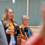 Grüne legen Gegenkonzept zu Warkens Gesundheitsreform vor