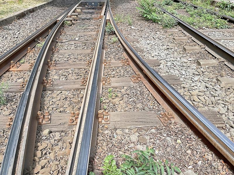 Kosten der Deutschen Bahn für Unkrautvernichtung steigen drastisch