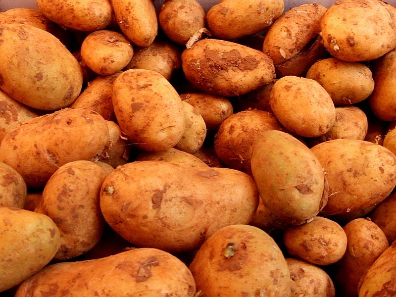 Landwirtschaftliche Erzeugerpreise im Februar deutlich gesunken