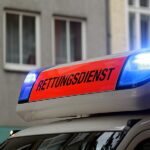 Mindestens zwei Personen bei Flensburg von Baum erschlagen
