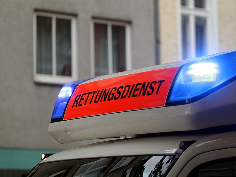 Mindestens zwei Personen bei Flensburg von Baum erschlagen