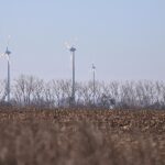 Schneider drängt Koalition zu mehr Unterstützung bei Energiewende