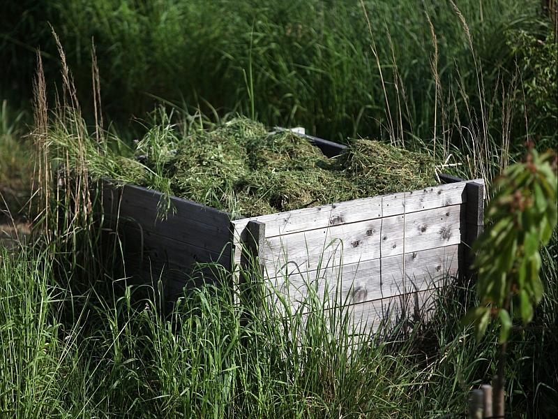 Städtetag fordert bundesweites Nachtfahrverbot für Mähroboter