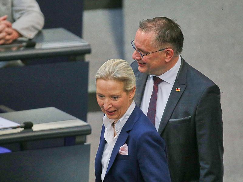 Umfrageinstitut Insa meldet neuen Rekordwert für AfD