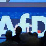 AfD plant in Sachsen-Anhalt viele Posten-Neubesetzungen in Behörden