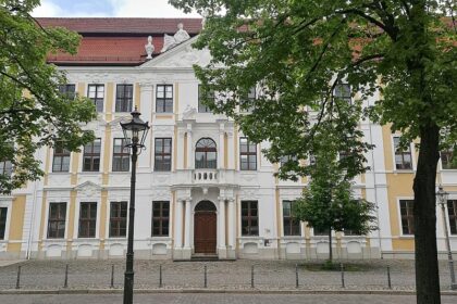 AfD sucht Personal für Alleinregierung in Sachsen-Anhalt