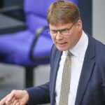 Bericht: AfD-Abgeordnete planen Reise zu Putin-Forum