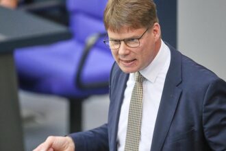 Bericht: AfD-Abgeordnete planen Reise zu Putin-Forum