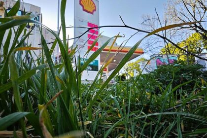 Bundesländer melden zurückgehende Inflation