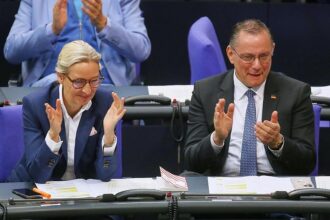 Forsa: AfD erreicht neues Allzeithoch