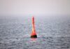 Gestrandeter Buckelwal in der Nordsee freigesetzt