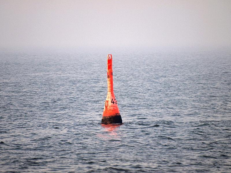 Gestrandeter Buckelwal in der Nordsee freigesetzt
