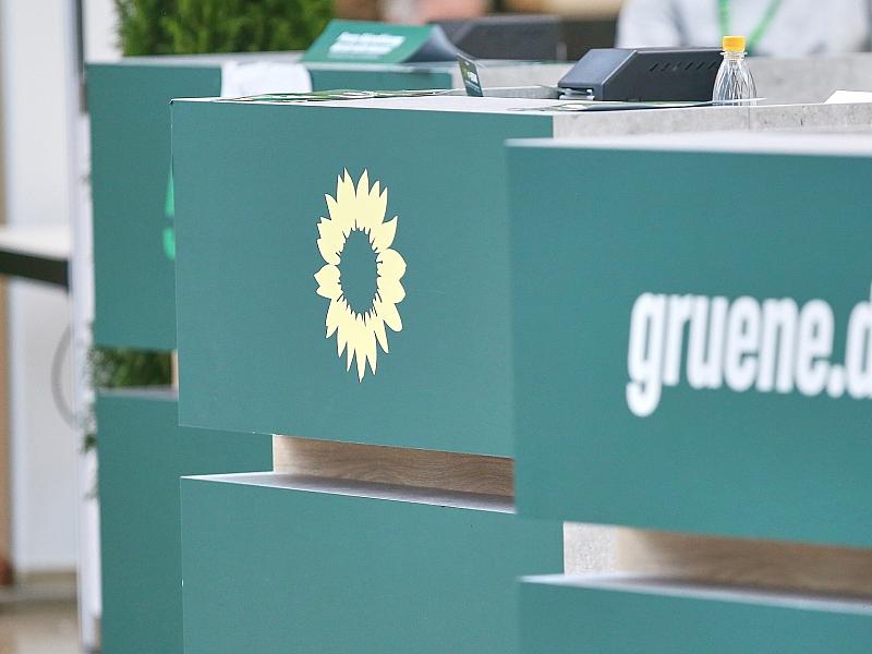 Grünen-Basis droht im Streit um Parteireform Niederlage vor Gericht