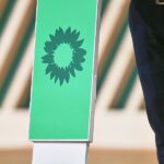 Grünen-Basis klagt gegen geplante Satzungsreform