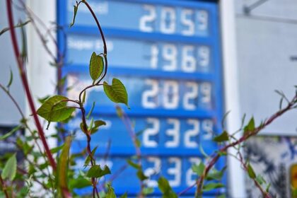 Ifo-Institut: Preisdruck lässt etwas nach – Inflation bleibt hoch