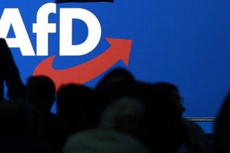 Innenminister warnen vor AfD-Regierung in Sachsen-Anhalt