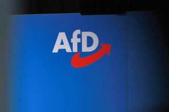 Institutionen warnen vor AfD-Regierung in Sachsen-Anhalt