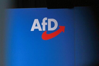 Institutionen warnen vor AfD-Regierung in Sachsen-Anhalt