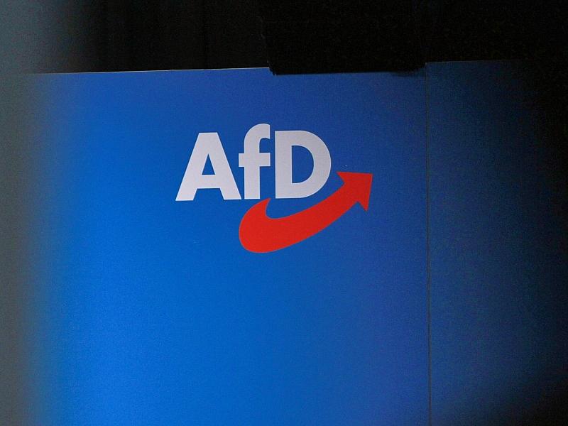 Institutionen warnen vor AfD-Regierung in Sachsen-Anhalt