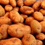 Landwirtschaftliche Erzeugerpreise im März deutlich gesunken