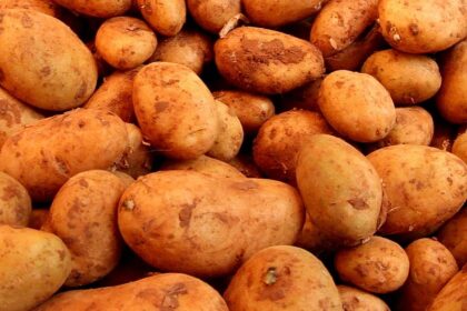 Landwirtschaftliche Erzeugerpreise im März deutlich gesunken