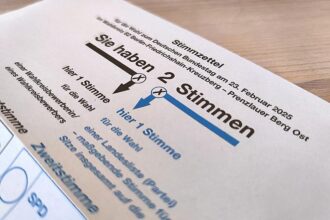 Linke schlägt Wahlrecht für alle nach fünf Jahren Aufenthalt vor