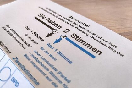 Linke schlägt Wahlrecht für alle nach fünf Jahren Aufenthalt vor