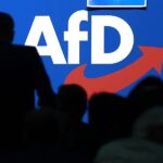 Meinungsforscher sieht weiteres Wählerpotenzial für AfD
