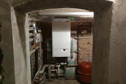 Neubauer kritisiert neues Heizungsgesetz scharf