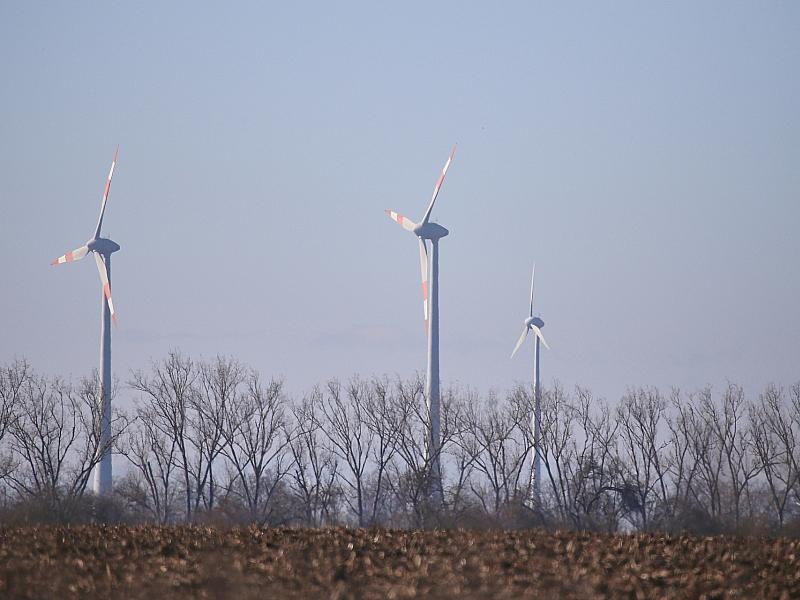 Reiches Windkraft-Pläne könnten Milliarden-Mehrkosten verursachen