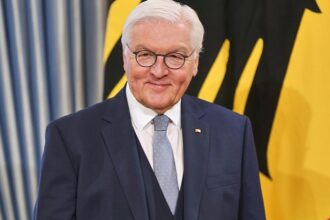 Steinmeier kritisiert Regierung für fehlende Großreformen