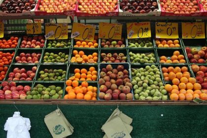 Studie: Strukturwandel macht Ernährungssystem krisenanfälliger