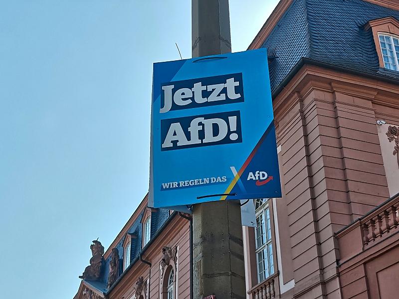 Studie: Subventionen können AfD ausbremsen