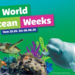 Ferientipp mit Gewinnspiel | Pfingstferien genießen und Gutes tun im SEA LIFE München