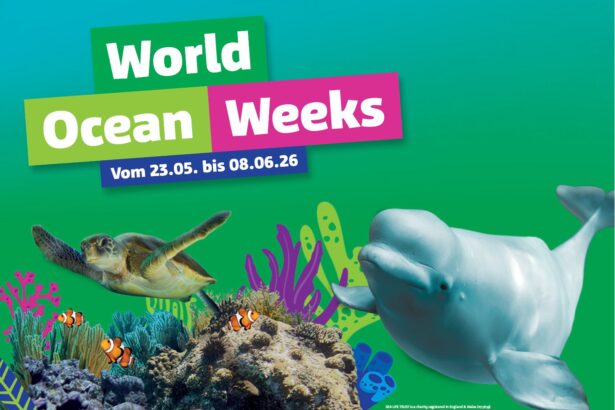 Ferientipp mit Gewinnspiel | Pfingstferien genießen und Gutes tun im SEA LIFE München
