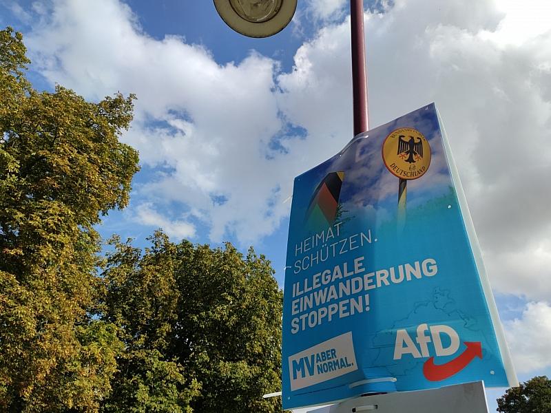 Umfrage: AfD in Mecklenburg-Vorpommern vorn – CDU stürzt ab