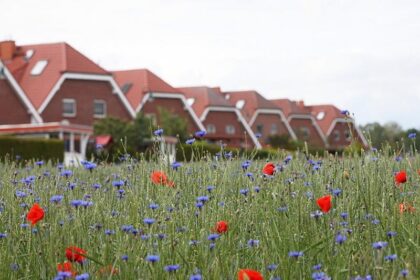 US-Investoren betreten deutschen Markt für Einfamilienhäuser