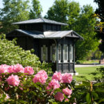 Jubiläumsfest mit freiem Eintritt – Botanischer Garten Augsburg feiert 90-jähriges Bestehen