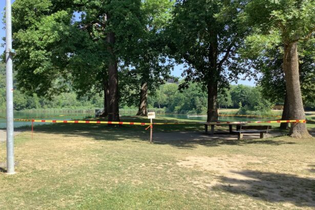 Eichenprozessionsspinner in Neu-Ulm entdeckt – Bereich am Pfuhler See vorübergehend gesperrt
