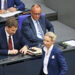 AfD bleibt in Umfrage mit 29 Prozent stärkste Kraft