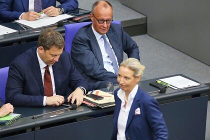 AfD bleibt in Umfrage mit 29 Prozent stärkste Kraft