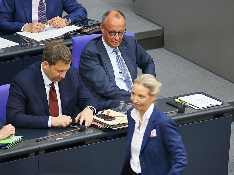 AfD bleibt in Umfrage mit 29 Prozent stärkste Kraft