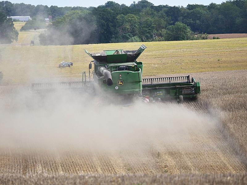 Bayer warnt vor Ernteausfällen durch Hormus-Blockade