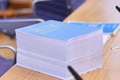 Bundestagsabgeordnete drängen nach Gutachten auf AfD-Verbotsprüfung