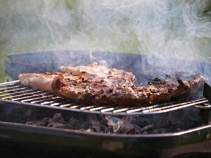 Ein Fünftel der Lebensmittelkosten fließt in Fleisch und Fisch