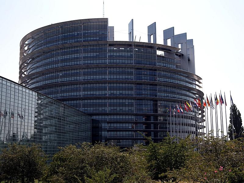 EU-Abgeordnete fordern Prüfung von AfD-Dachpartei ESN