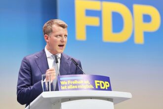 FDP-Vize Höne mahnt nach Parteitag zu Geschlossenheit