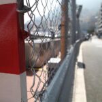 Formel 1: Antonelli sichert sich die Pole-Position in Monaco