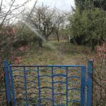 Gartenbesitzer in Deutschland fördern verstärkt Artenvielfalt